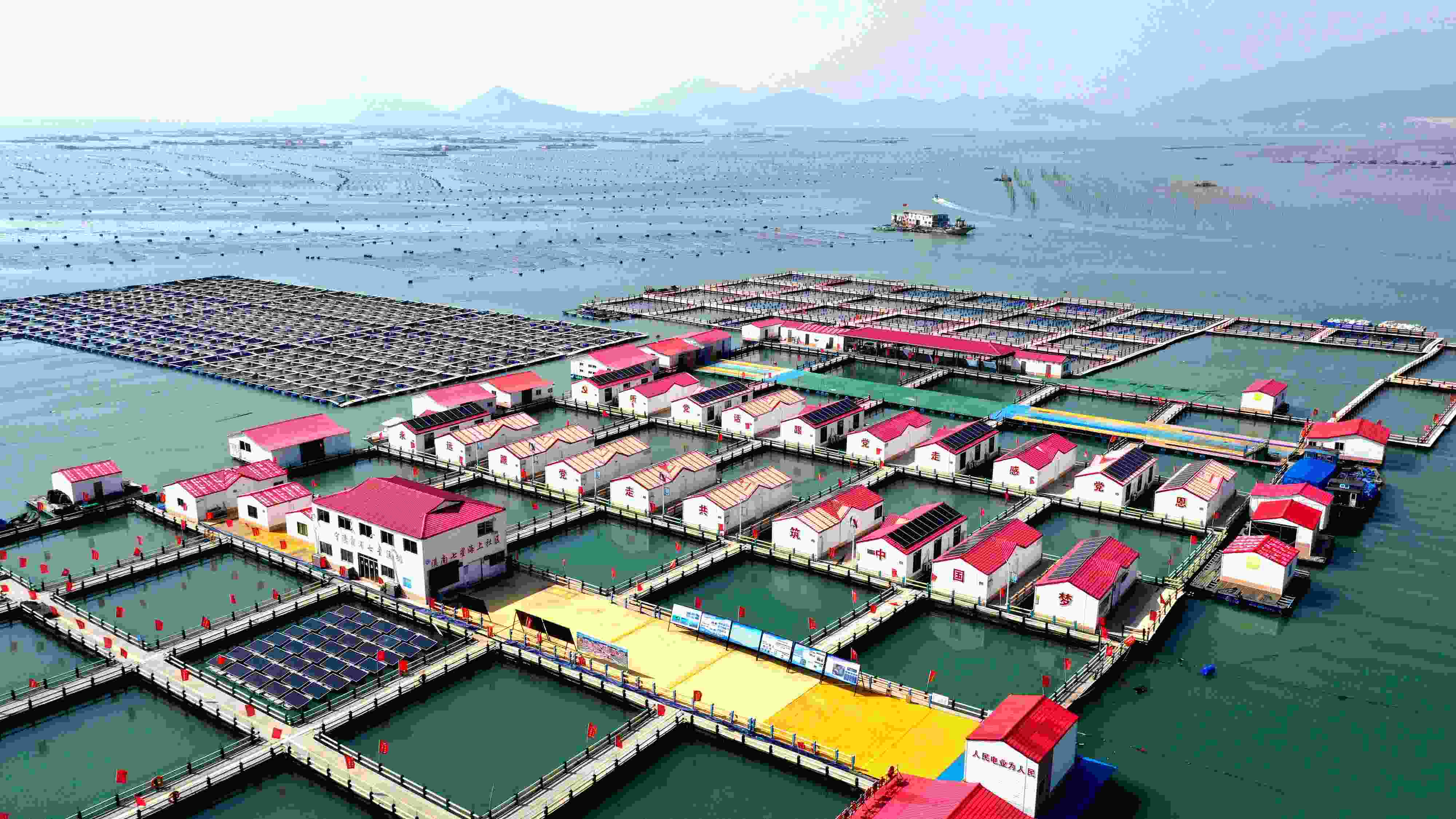 2024年3月20日，福建省寧德市，霞浦縣溪南鎮(zhèn)七星村漁排養(yǎng)殖示范區(qū)，漁民駕駛養(yǎng)殖船進行海參養(yǎng)殖作業(yè)。