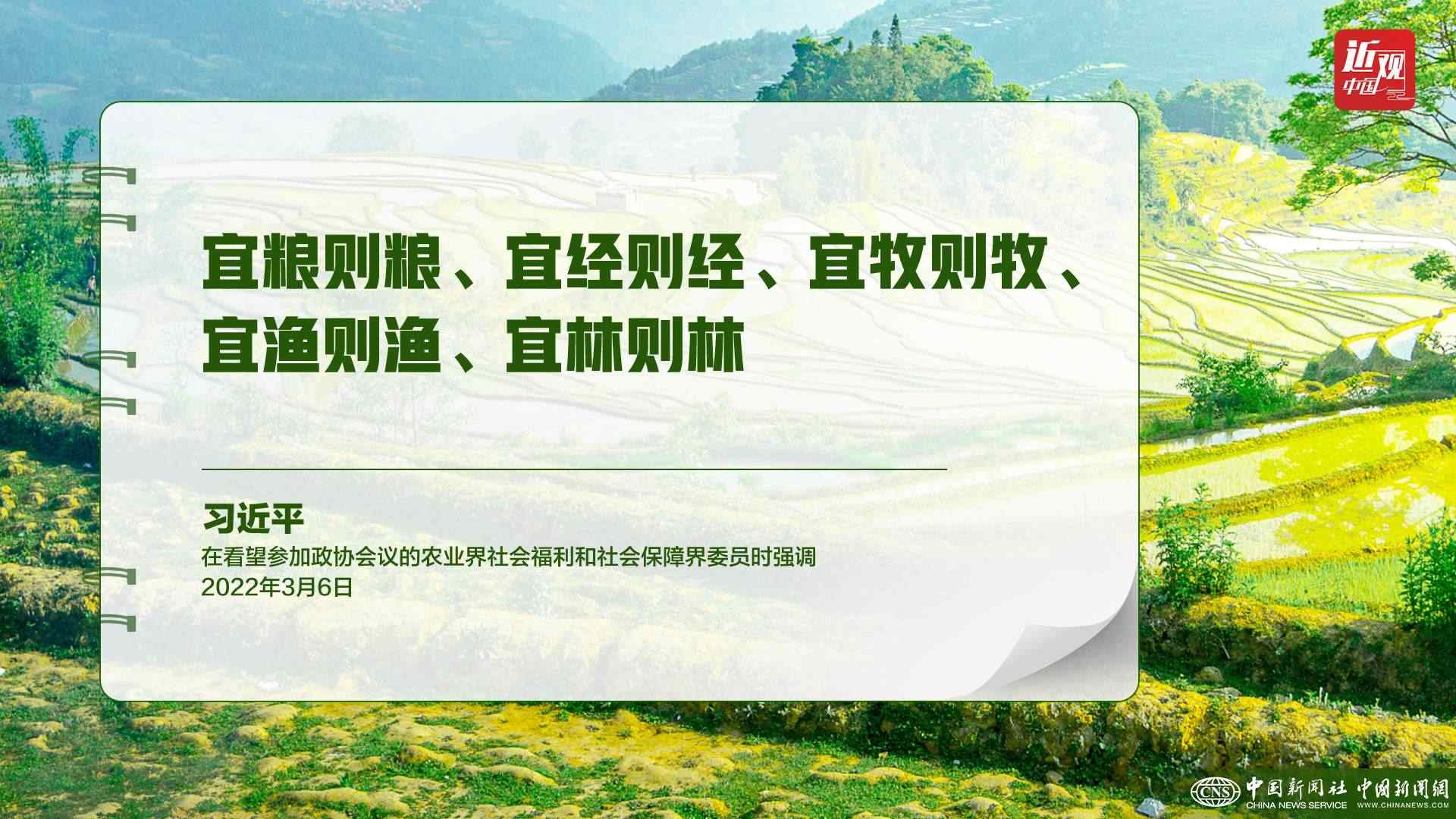 習(xí)近平：樹立大食物觀，構(gòu)建多元化食物供給體系