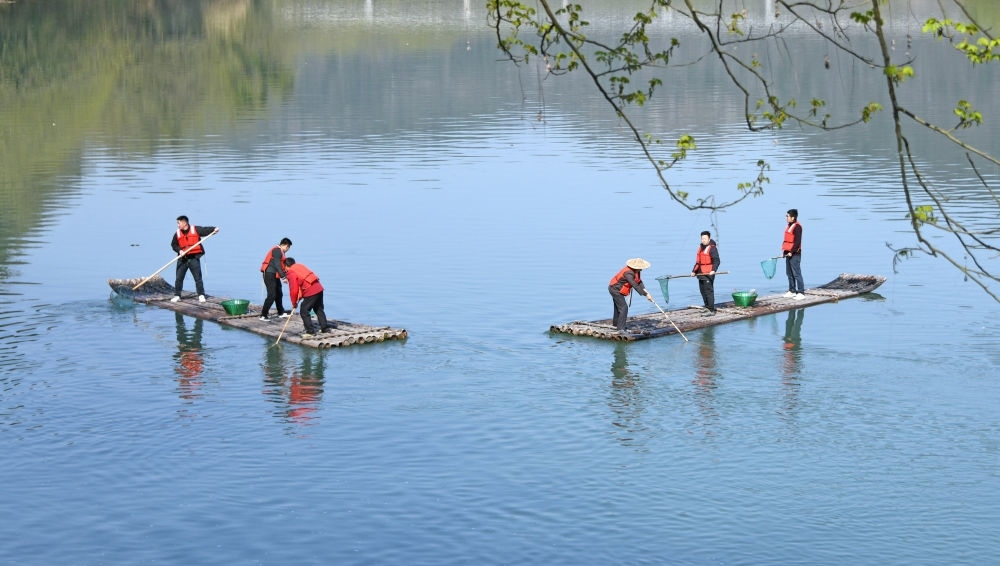 浙江省臺州市仙居縣步路鄉(xiāng)黨員志愿者與河長一起在永安溪巡河護(hù)水，清理雜物垃圾（2024年3月20日攝）。新華社發(fā)（王華斌攝）