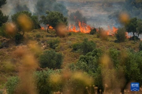 6月12日，以色列北部加利利地區(qū)遭受火箭彈襲擊后冒出滾滾濃煙。新華社發(fā)（阿亞爾·馬戈林?jǐn)z/基尼圖片社）