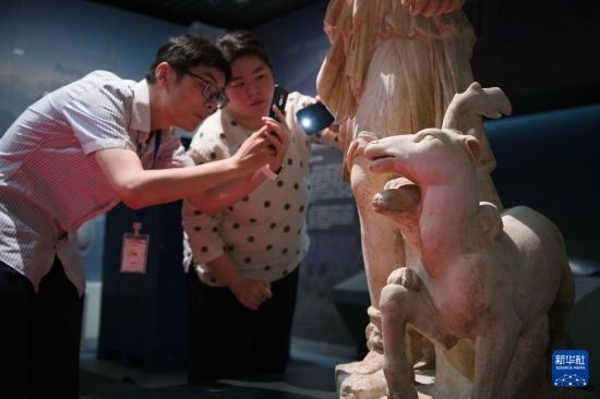 7月2日，安徽博物院工作人員在拍攝開箱后的古希臘文物。新華社記者 張端 攝