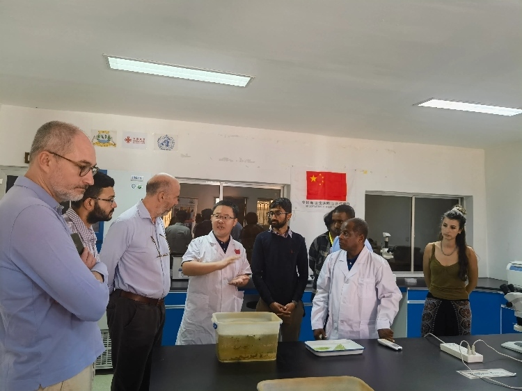 活動(dòng)現(xiàn)場。專家組供圖