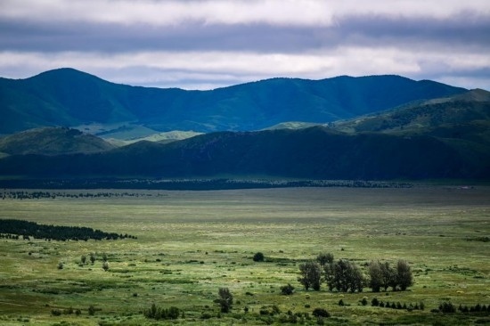 2023年8月4日拍攝的大興安嶺南麓內(nèi)蒙古罕山國家級自然保護區(qū)風光。新華社記者 連振 攝