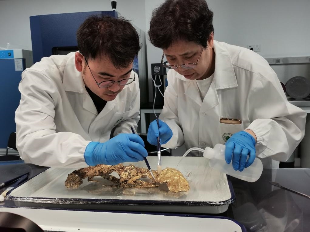 2023年7月，馬燕如（右）帶著魯海子（左）修復(fù)三星堆遺址出土的黃金面具。新華社發(fā)（四川省文物考古研究院供圖）