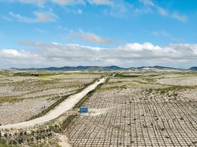 剛剛竣工的其白線穿沙公路。