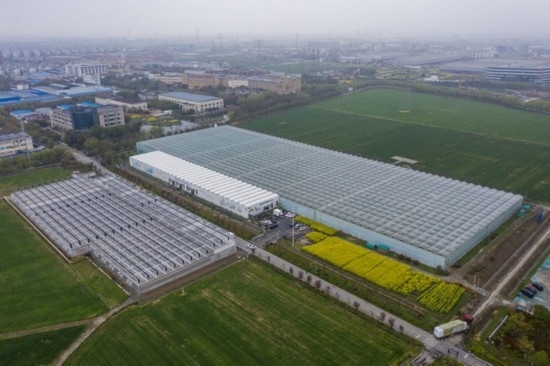 2024年3月28日，空中俯瞰嘉興南湖區(qū)湘家蕩農(nóng)業(yè)數(shù)字化工廠（無(wú)人機(jī)照片）。該農(nóng)業(yè)數(shù)字化工廠占地總面積約62畝，包含智慧農(nóng)業(yè)生產(chǎn)、物聯(lián)網(wǎng)智能管理、自動(dòng)分揀包裝、保鮮儲(chǔ)藏物流、高科技示范展示等五大功能區(qū)，可直接或間接培養(yǎng)帶動(dòng)新型職業(yè)技術(shù)農(nóng)民500人以上。新華社記者 徐昱 攝