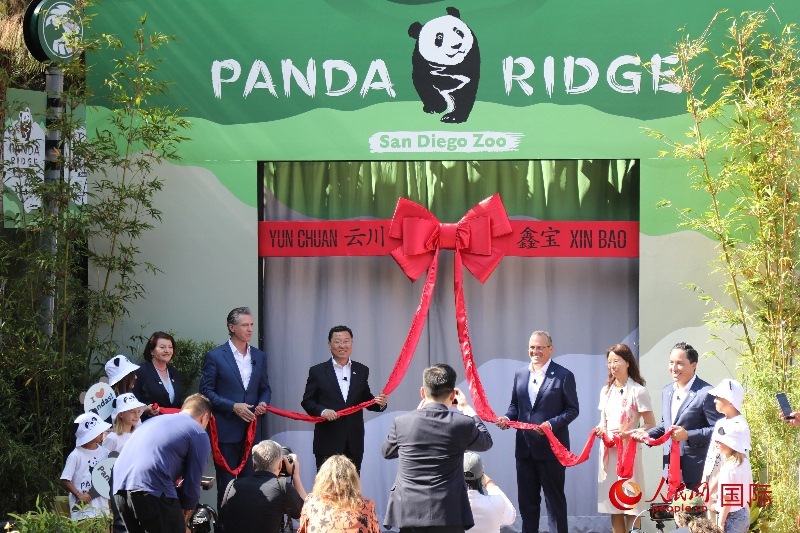 1、中國駐美國大使謝鋒、加州州長紐森、圣迭戈市市長格洛利亞等人共同為“熊貓嶺”開館剪彩。 人民網(wǎng)記者 李志偉攝