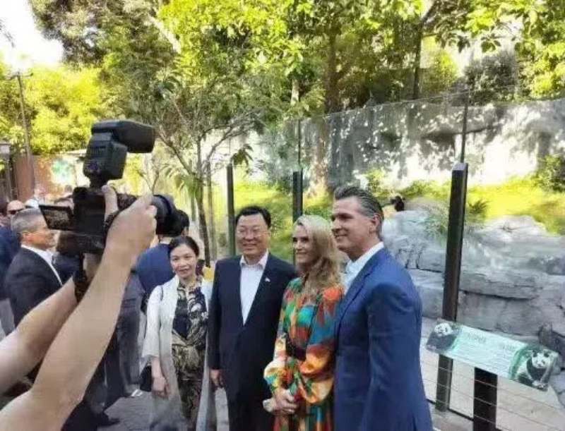 謝鋒大使及夫人與加州州長紐森夫婦在圣迭戈動(dòng)物園大熊貓館前合影。圖片為中國駐美大使館提供