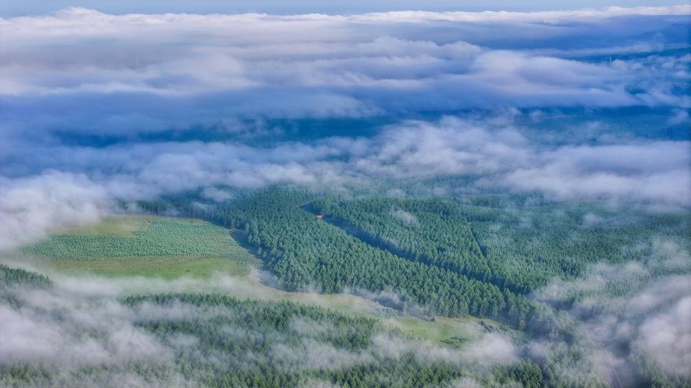 2024年7月26日拍攝的塞罕壩國家級自然保護(hù)區(qū)景色。新華社發(fā)（劉滿倉 攝）