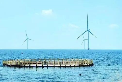 △山東萊州風(fēng)電項(xiàng)目實(shí)現(xiàn)了海上風(fēng)電和海洋牧場(chǎng)融合發(fā)展。