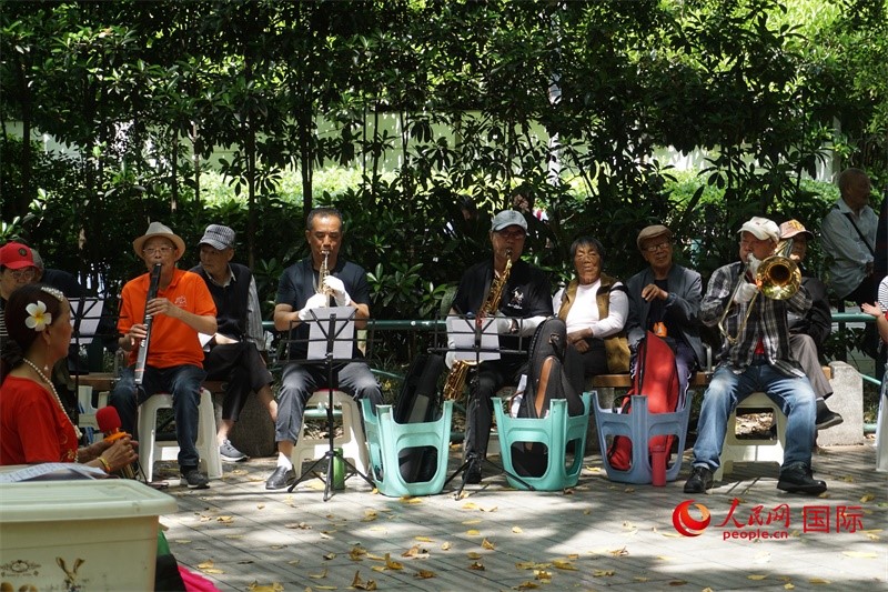 成都居民在公園里演奏歌曲。人民網(wǎng) 王禹蘅攝
