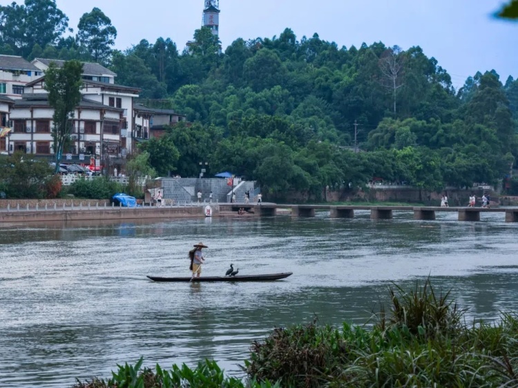 蘇稽古鎮(zhèn)的漁民在進(jìn)行魚鷹捕魚表演。本報(bào)記者 伊霄攝