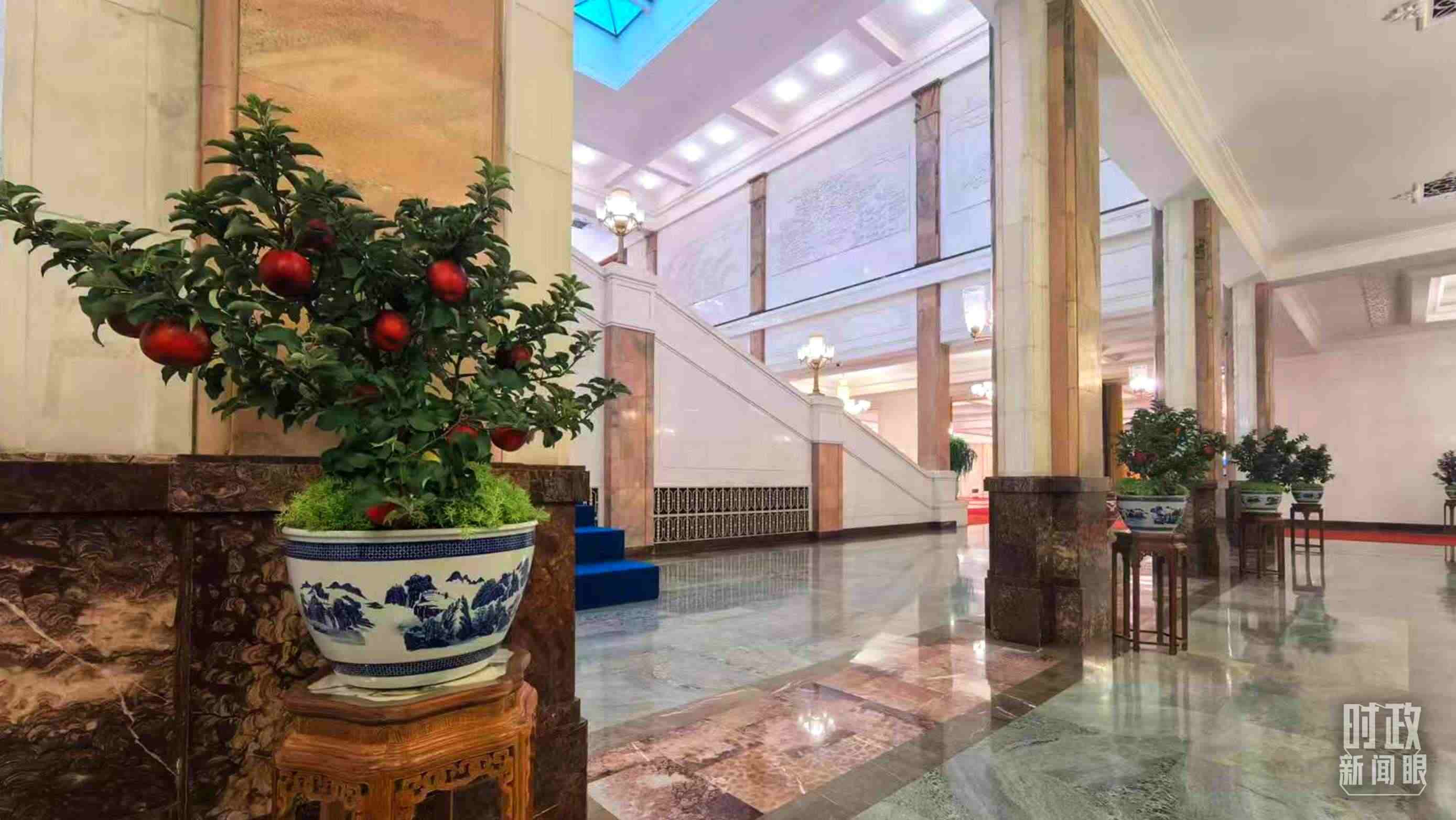  △大會(huì)堂內(nèi)的“碩果累累”盆栽。（總臺(tái)國(guó)廣記者吳倩拍攝）