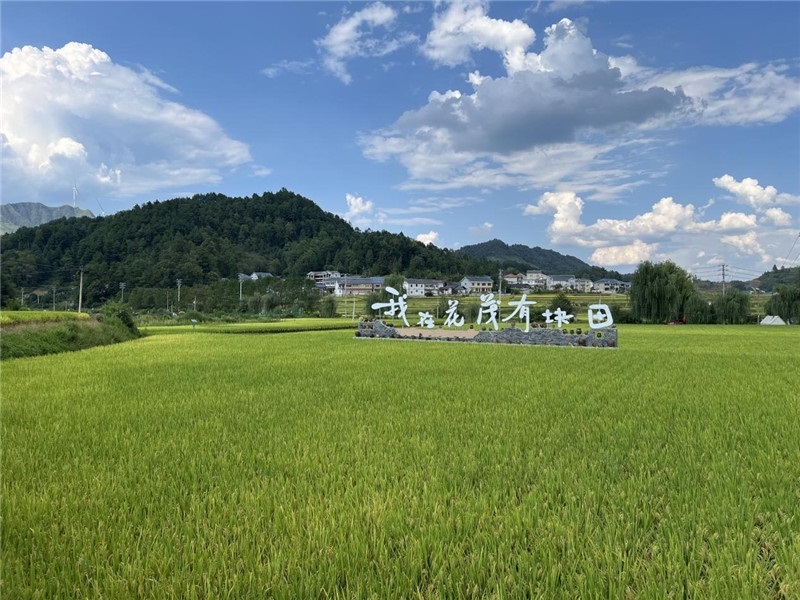 青瓦白磚的黔北民居、風中搖曳的稻田、抬手可觸的大片云朵……才剛下車，格魯吉亞“經濟中心網”總編輯莉安娜·喬爾喬利亞尼就被眼前的景色拖住了步履，喃喃細語：“實在太美了，讓我內心平靜，在這里生活一定非常安逸和幸福?！保ㄇ褫x攝）