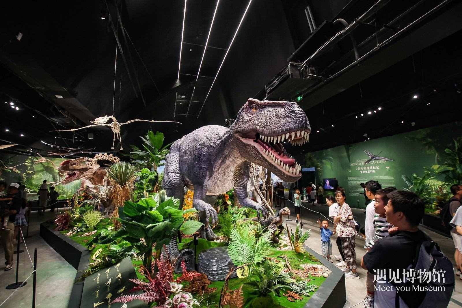 2. 游客參觀“2億年的地球記憶——恐龍化石特展”。遇見博物館供圖
