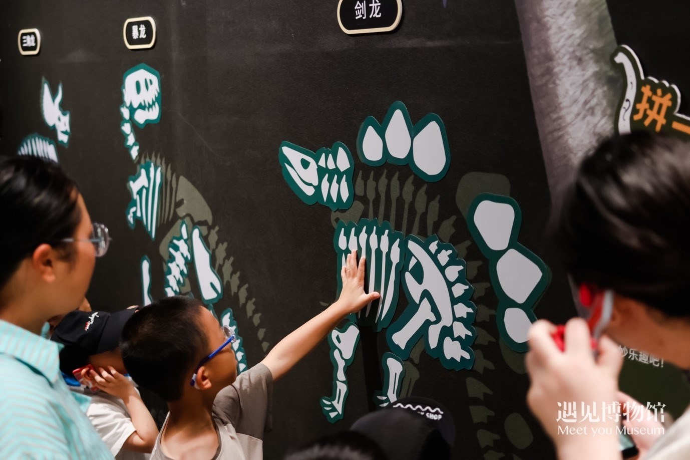 5. “2億年的地球記憶——恐龍化石特展”互動區(qū)域。遇見博物館供圖