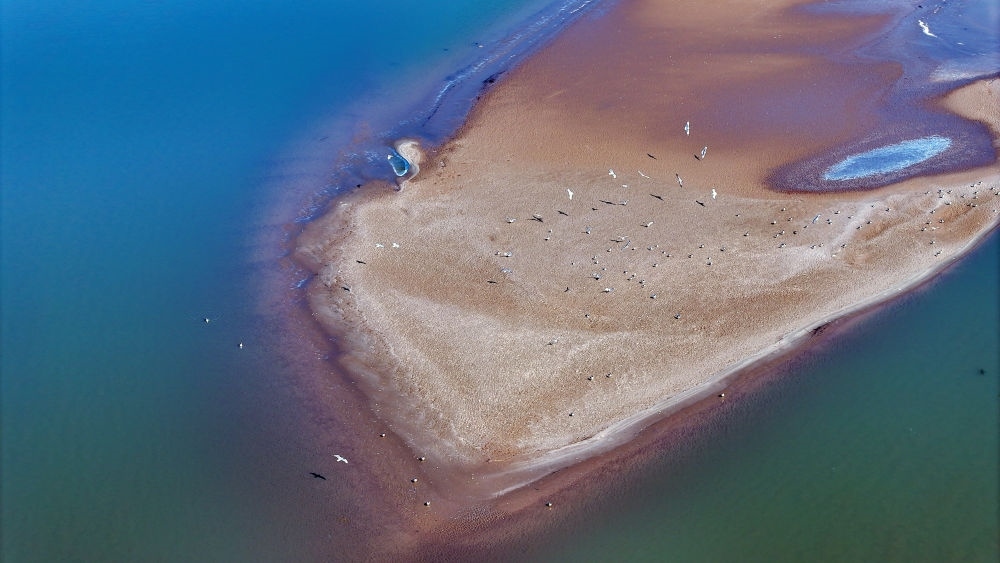 2024年3月1日拍攝的黃河寧夏段（無(wú)人機(jī)照片）。