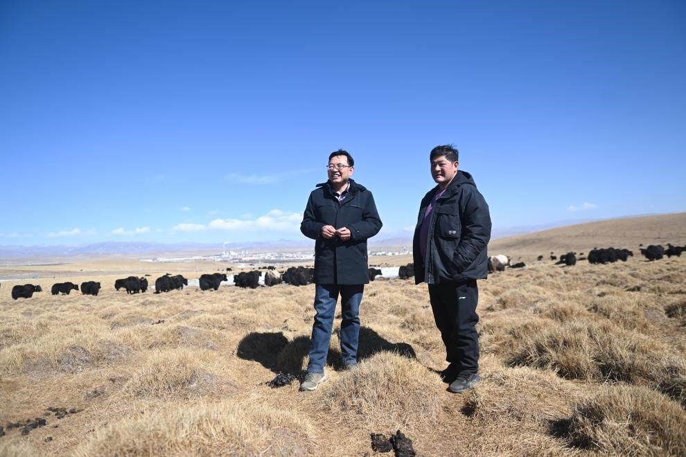 2023年2月24日，在青海省海北藏族自治州海晏縣青海湖鄉(xiāng)達(dá)玉日秀村，全國人大代表董全民（左）查看牧民東知布家的草場。新華社記者 張龍 攝