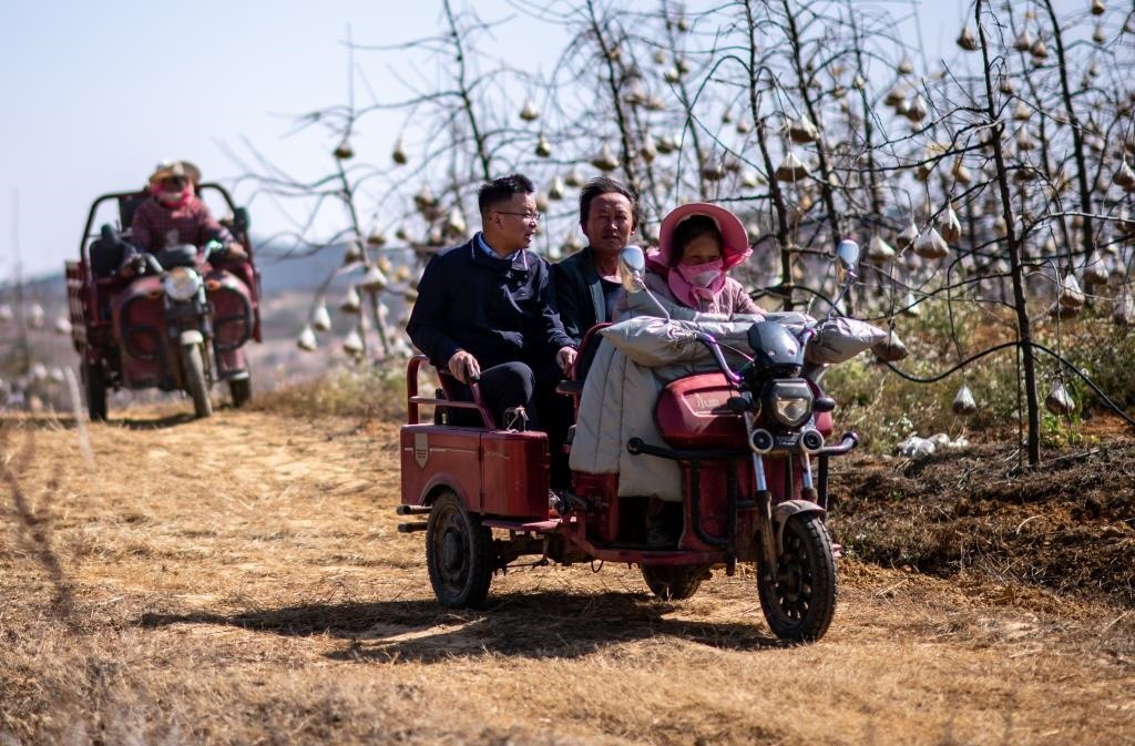 全國人大代表袁海波（右三）在云南省曲靖市馬龍區(qū)一種植基地了解務(wù)工人員就業(yè)需求（2023年2月11日攝）。新華社記者 江文耀 攝