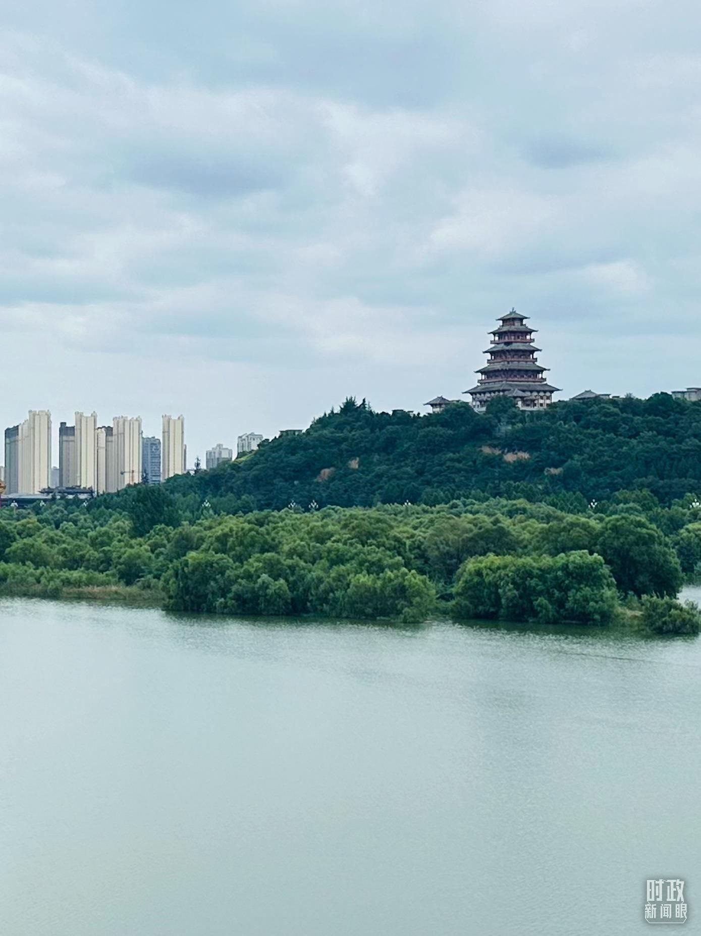 △渭河寶雞段長(zhǎng)224公里，目前建成17處渭河灘區(qū)生態(tài)涵養(yǎng)區(qū)。（總臺(tái)央視記者范一鳴拍攝）