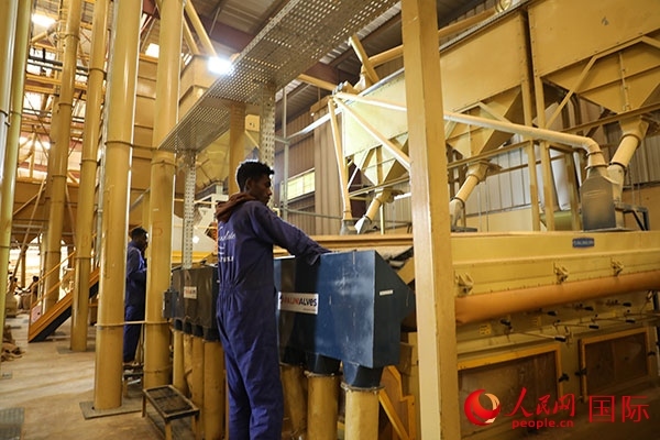 在Bule Hora咖啡加工廠(chǎng)里工作的當(dāng)?shù)毓と藗?。人民網(wǎng)記者 沈小曉攝