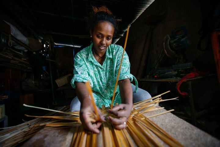 2024年8月10日，菲基爾特·加布雷在埃塞俄比亞首都亞的斯亞貝巴名為“綠色金子”的竹藤工作室里加工竹制產(chǎn)品。新華社發(fā)（邁克爾·特韋爾德 攝）