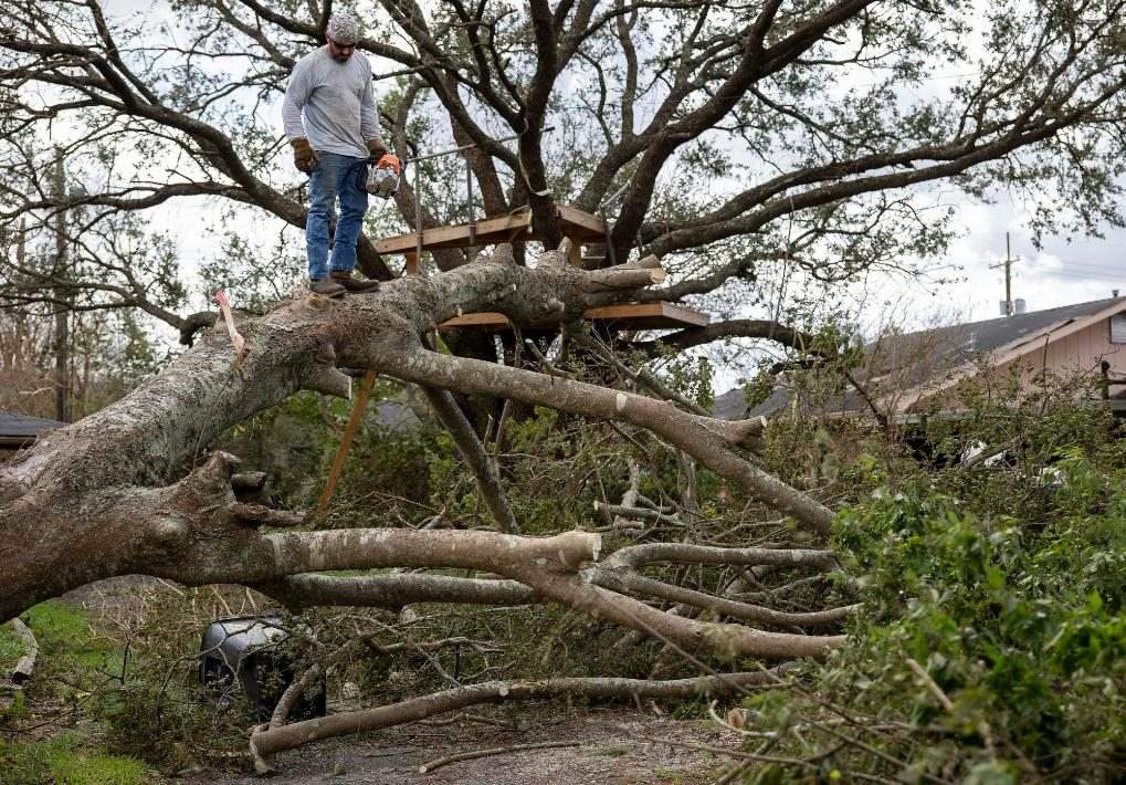 2021年8月30日，在美國(guó)路易斯安那州霍馬，一名男子站在被颶風(fēng)吹倒的大樹(shù)上。新華社發(fā)（尼克·瓦格納 攝）