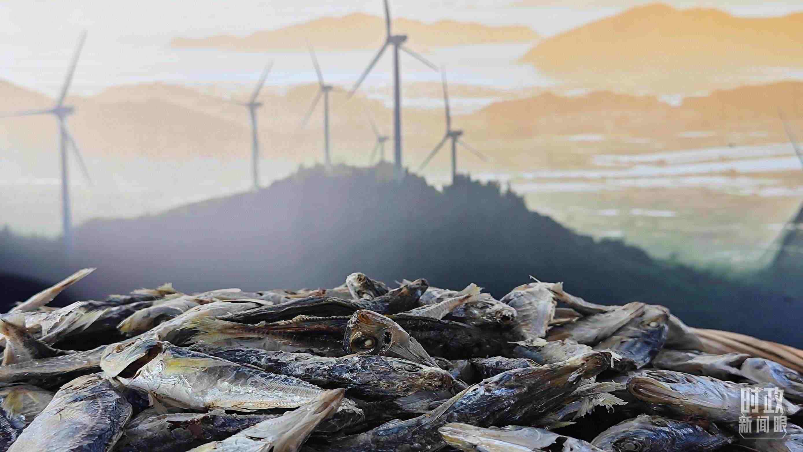 △澳角村的海產(chǎn)品。（總臺(tái)央視記者許永松拍攝）