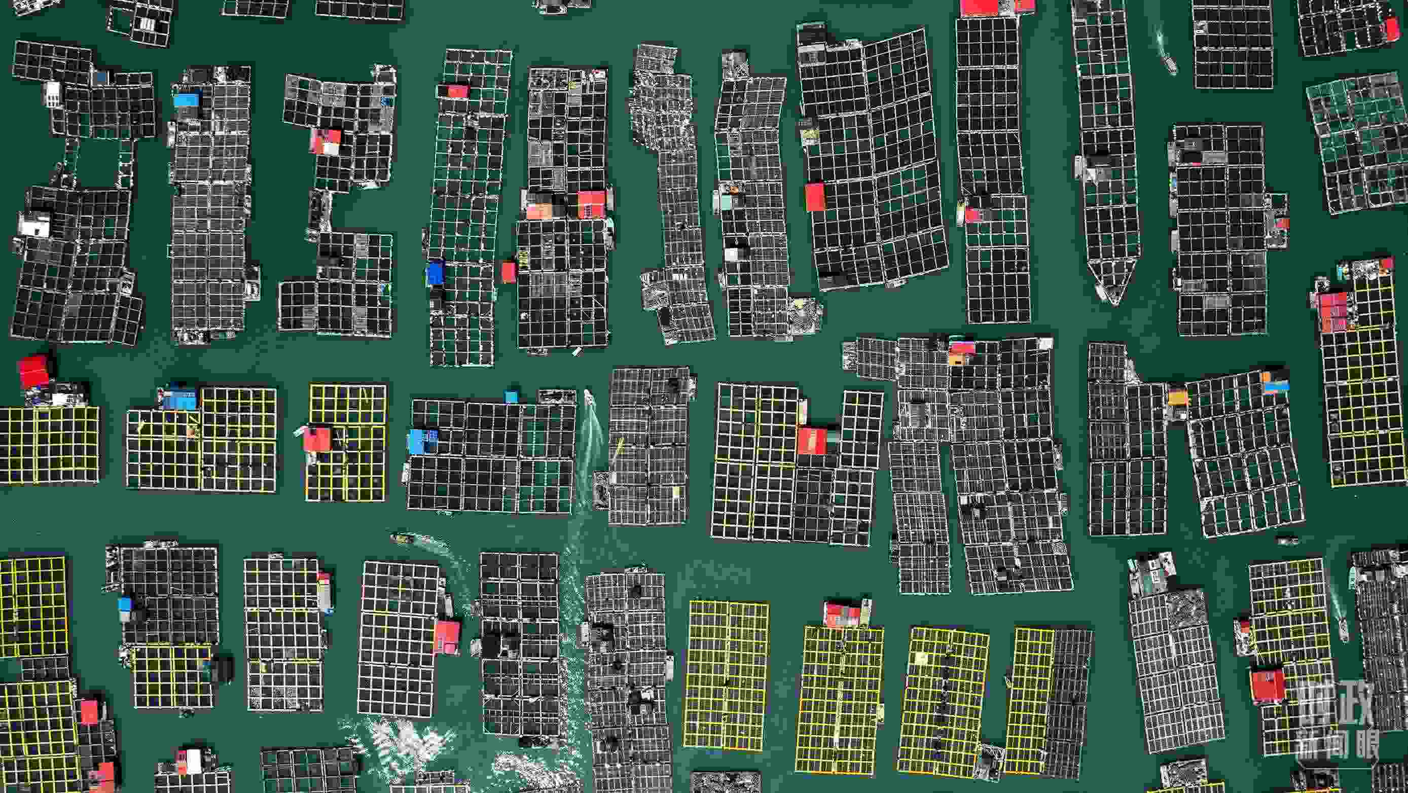 △澳角村。（總臺(tái)記者李晉拍攝）