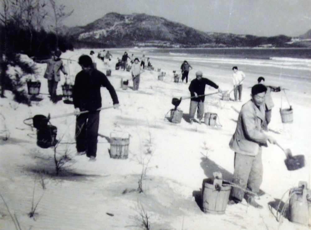 上世紀東山百姓在沙灘造林（資料照片）。
