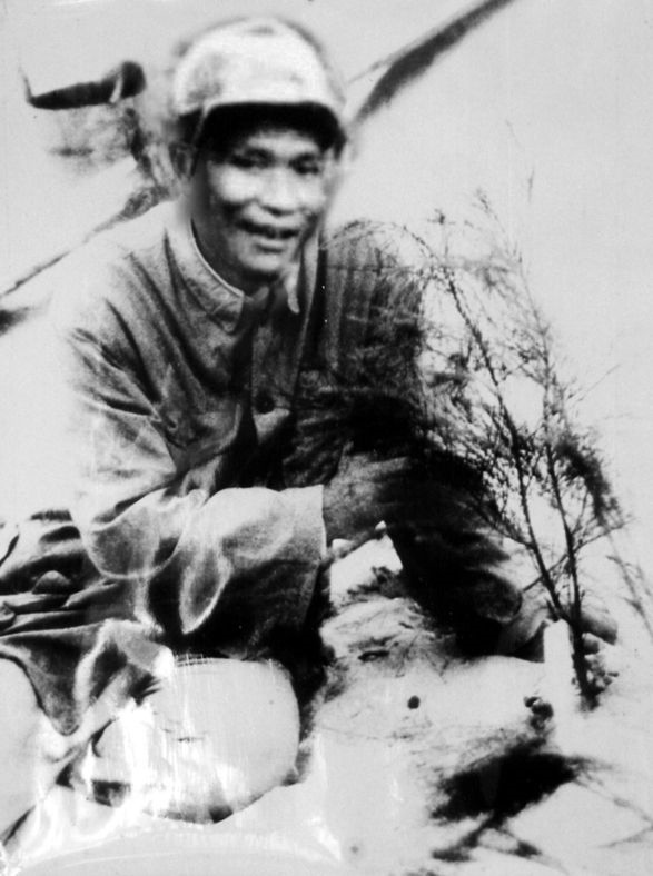 谷文昌與試種成活的木麻黃（資料照片）。為了治沙，谷文昌爬遍了東山縣400多個山頭，踏遍了30多公里的沙灘，終于帶領(lǐng)東山人民試種木麻黃成功。