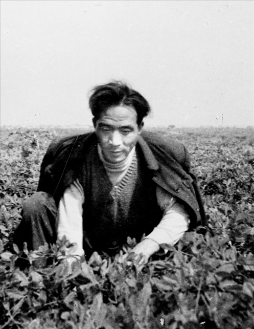 在蘭考期間，焦裕祿在田間勞動(dòng)的情景。