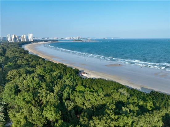 郁郁蔥蔥的東山縣沿海防護(hù)林（無人機(jī)拍攝）。新華社記者 姜克紅 攝