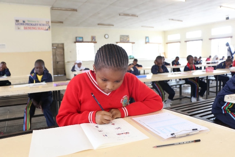 考場現(xiàn)場。埃格頓大學(xué)孔子學(xué)院供圖