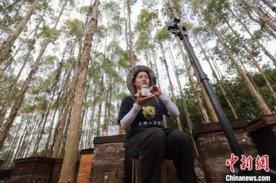 吳素英在網(wǎng)絡(luò)平臺直播介紹蜜蜂和養(yǎng)蜂情況。湯曉逵 攝