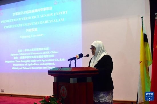 10月26日，文萊初級(jí)資源與旅游部常任秘書圖蒂亞蒂在斯里巴加灣市出席中國(guó)與文萊雜交水稻高級(jí)專家顧問項(xiàng)目啟動(dòng)儀式。新華社記者 李萌 攝