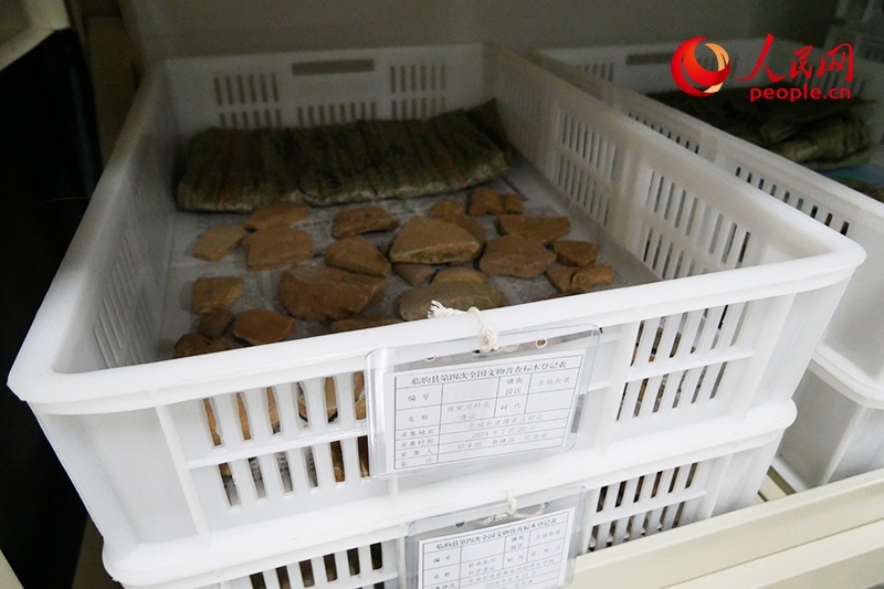 已經(jīng)整理完畢的文物標(biāo)本。人民網(wǎng)記者 韋衍行攝
