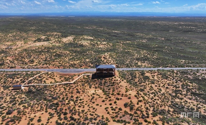 古浪縣一代代人治沙不息，讓綠色向沙漠深處不斷延伸（央廣網(wǎng)記者 李紅軍 攝）