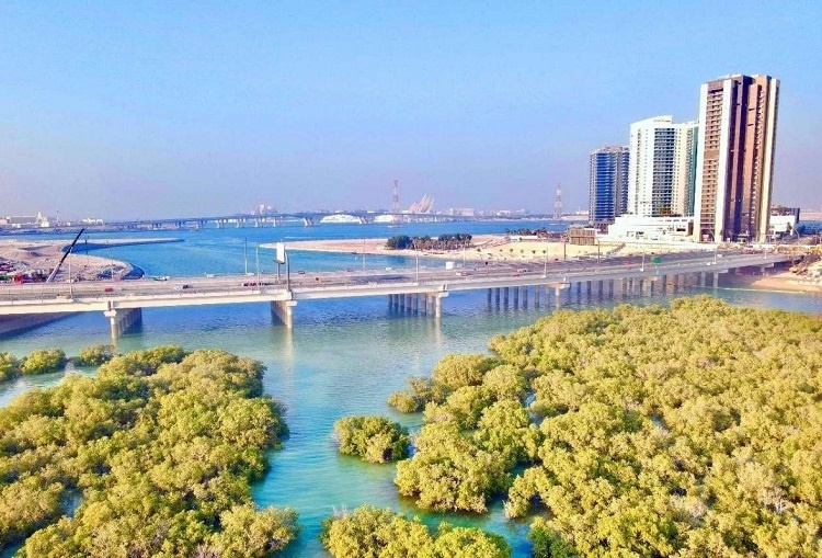 圖為瑞姆橋施工現(xiàn)場(chǎng)。中國土木供圖