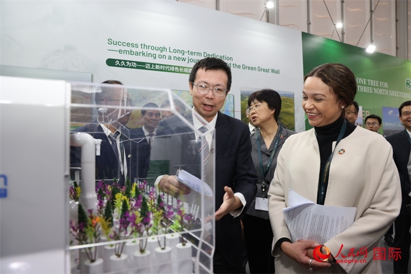 嘉賓參觀中國(guó)館。人民網(wǎng)記者任皓宇攝