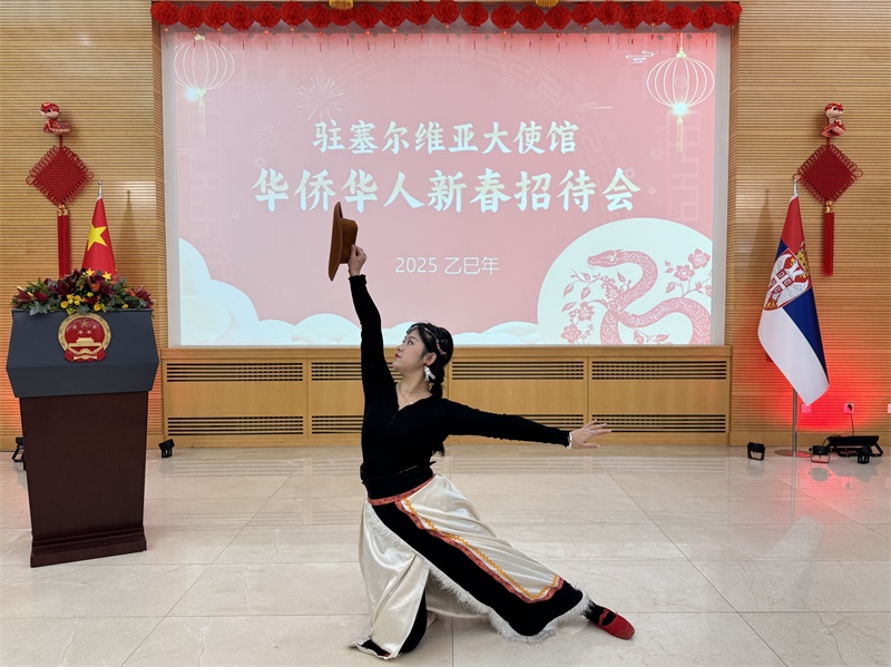 招待會現(xiàn)場表演。諾維薩德孔子學(xué)院供圖