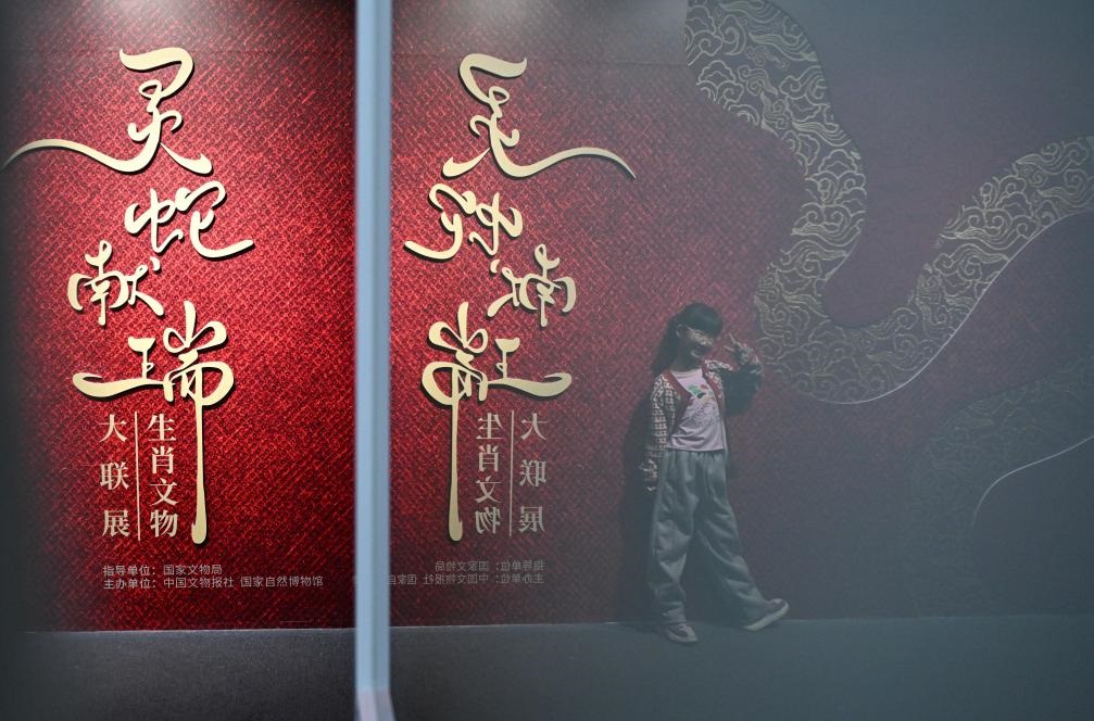 1月18日，一名小朋友在國家自然博物館舉辦的“靈蛇獻瑞——2025乙巳蛇年生肖文物大聯(lián)展”展覽中拍照留念。（新華社記者 陳鐘昊 攝）