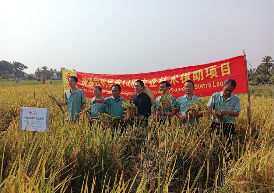 中國駐塞拉利昂大使王擎和援塞農(nóng)業(yè)專家組合影。中國援塞農(nóng)業(yè)專家組供圖