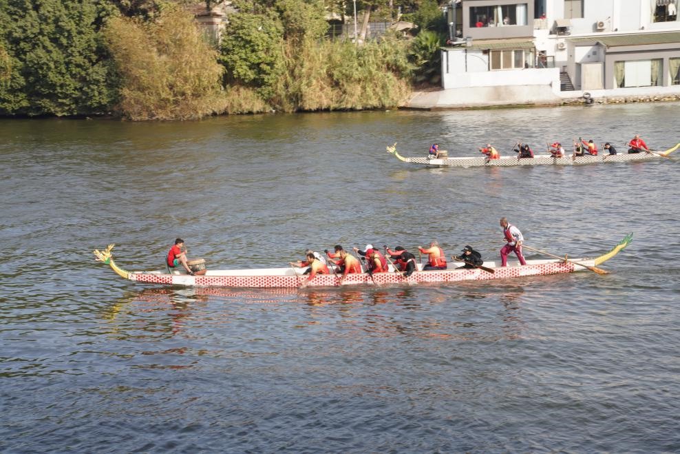 活動(dòng)現(xiàn)場(chǎng)龍舟競(jìng)技，共慶春節(jié)。開羅中國(guó)文化中心供圖