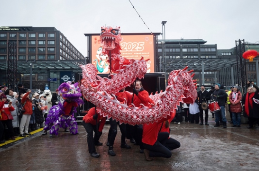 舞龍、舞獅表演。中國駐芬蘭大使館供圖