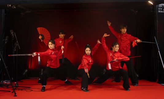 武術(shù)表演。中國駐芬蘭大使館供圖