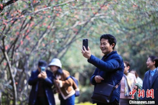 成都：海棠花開(kāi)引游人