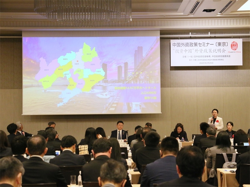 地方代表進行專題投資推介。人民網(wǎng) 許可攝