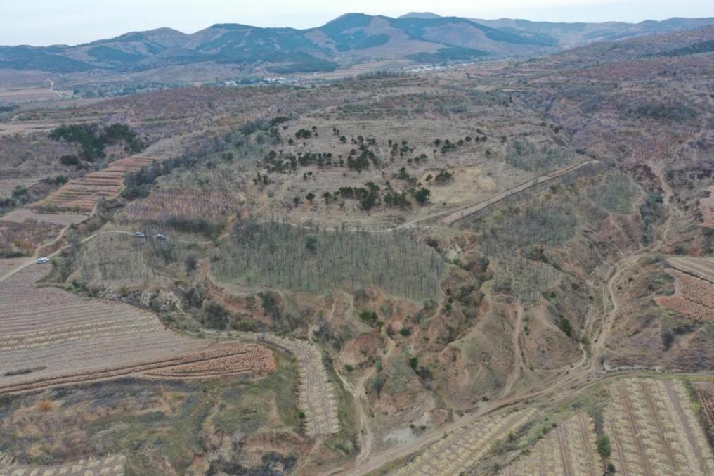 朝陽凌源無白丁遺址群（2024年11月23日攝）。新華社發(fā)（遼寧省文物考古研究院供圖）