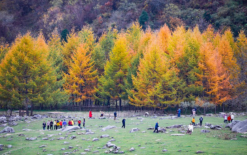 2023年10月27日，深秋時(shí)節(jié)的陜西秦嶺太子嶺五彩斑斕，進(jìn)入最佳觀賞期。